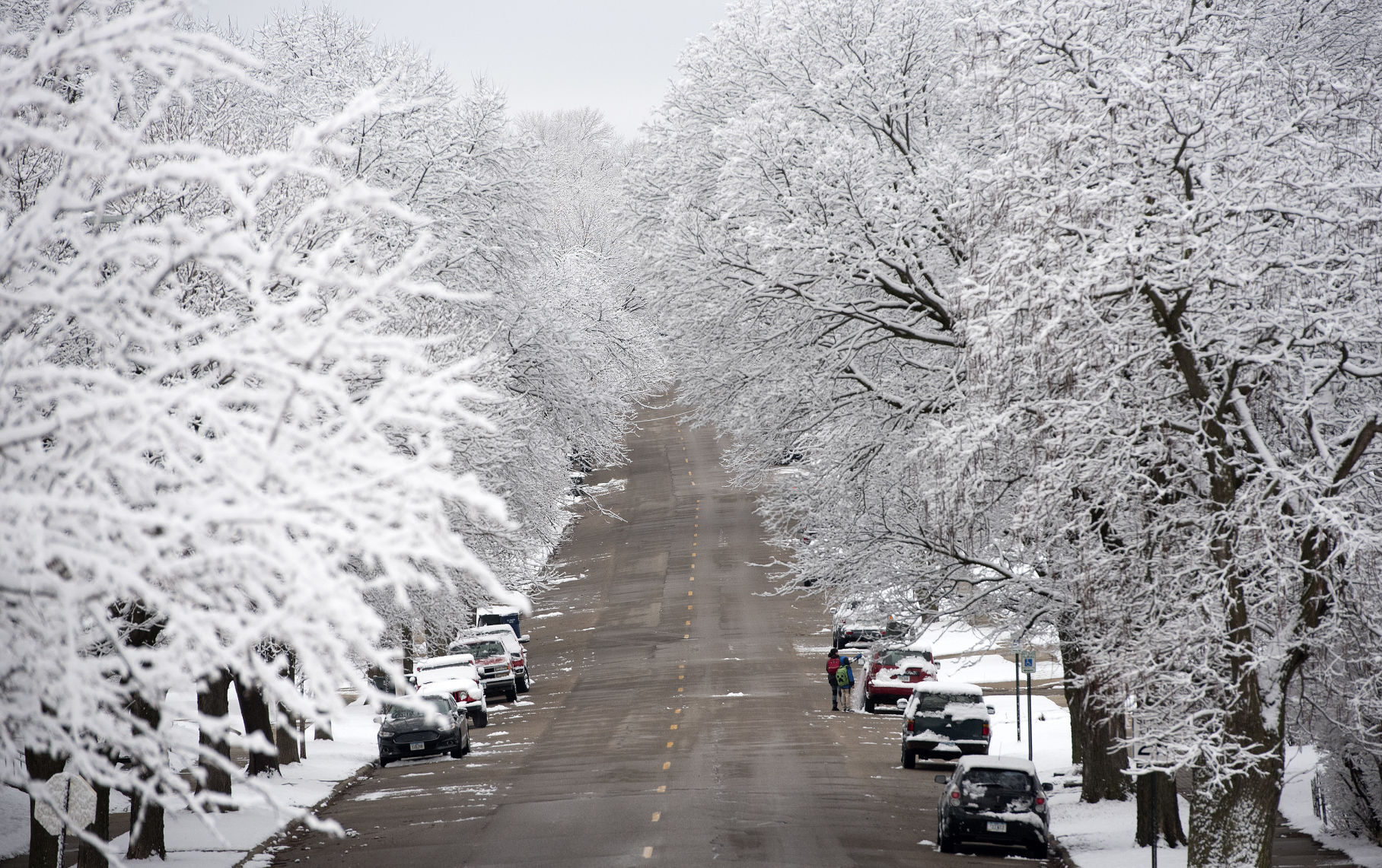 Spring snow